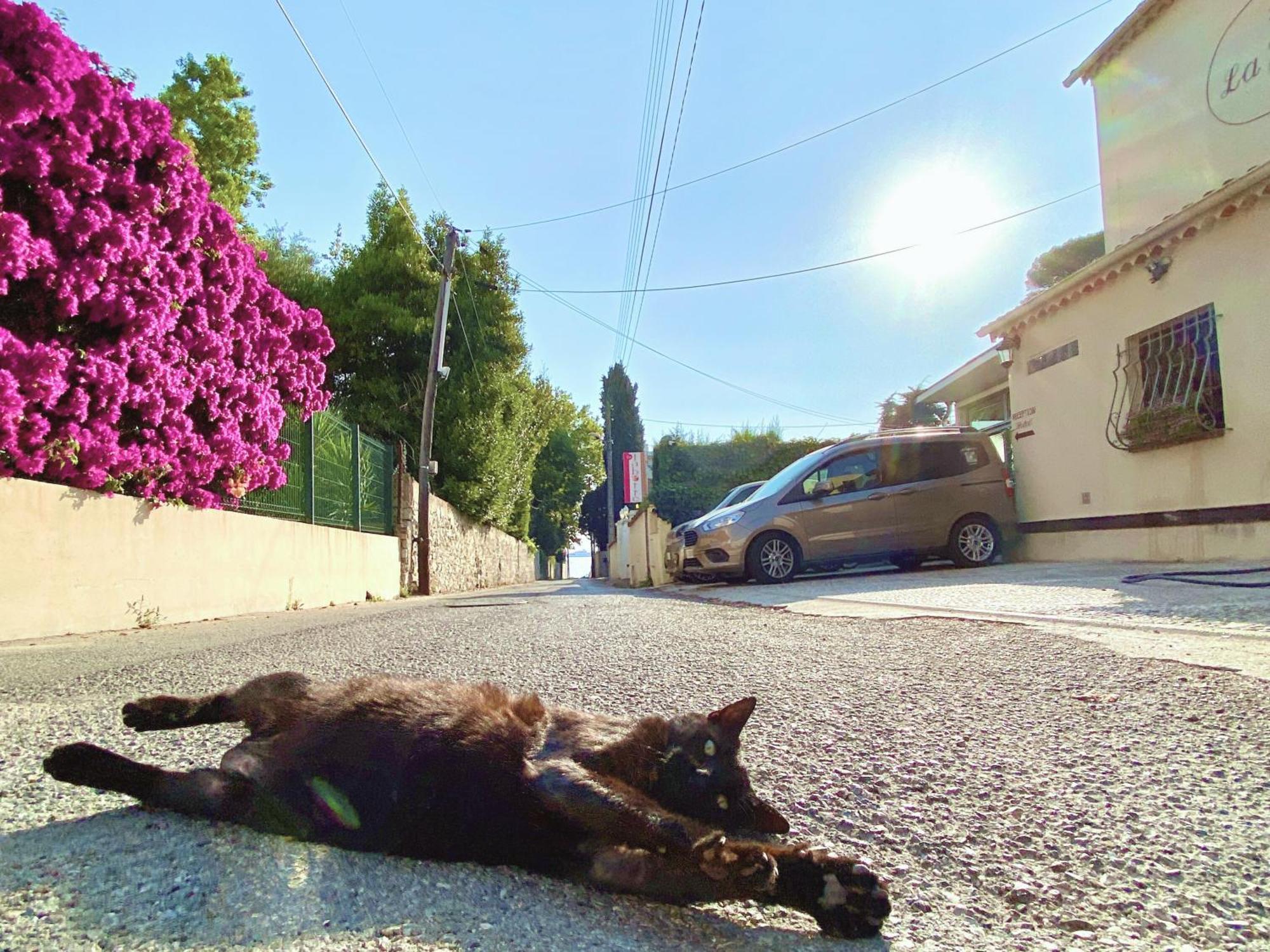 La Jabotte Hotel Antibes Bagian luar foto