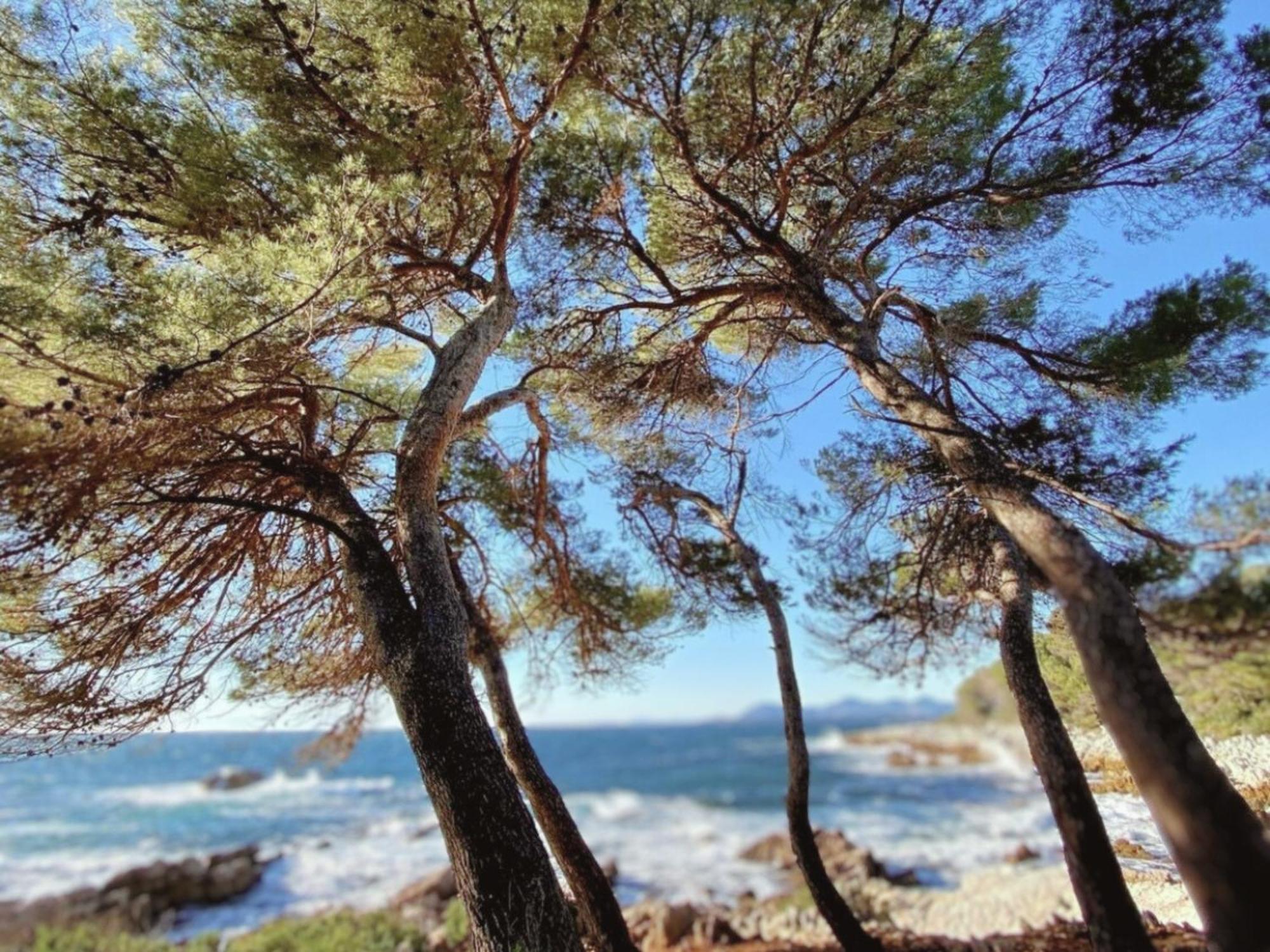 La Jabotte Hotel Antibes Bagian luar foto